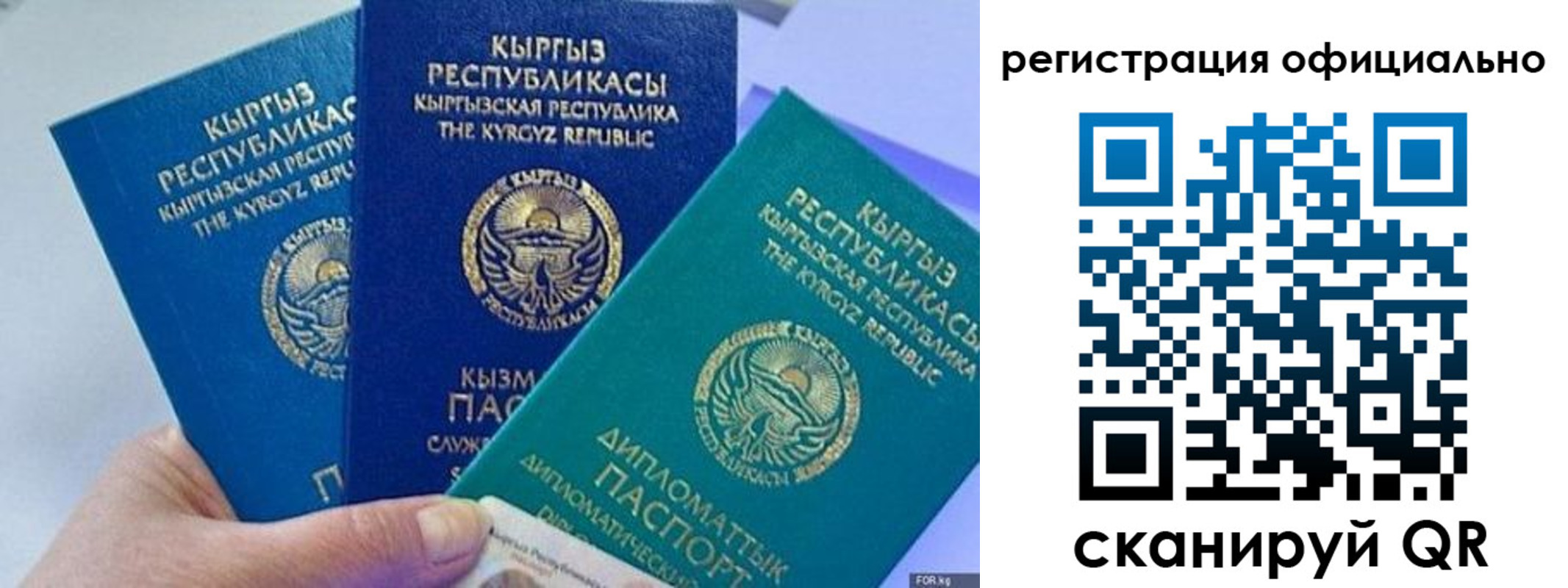 прописка в Дорогобуже